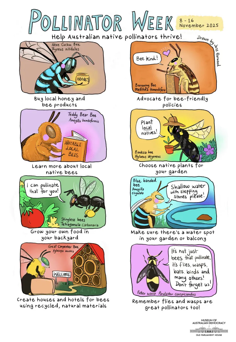 Front page of a pollinator poster featuring illustrations of pollinators like bees.