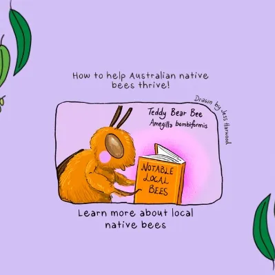 An illustration of a bee reading a book titled 'Notable local bees'.