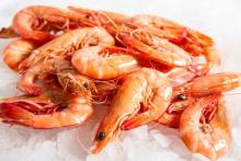 Don’t come the raw prawn with me