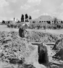 From tulips to trenches: comings and goings in the Old Parliament House Gardens