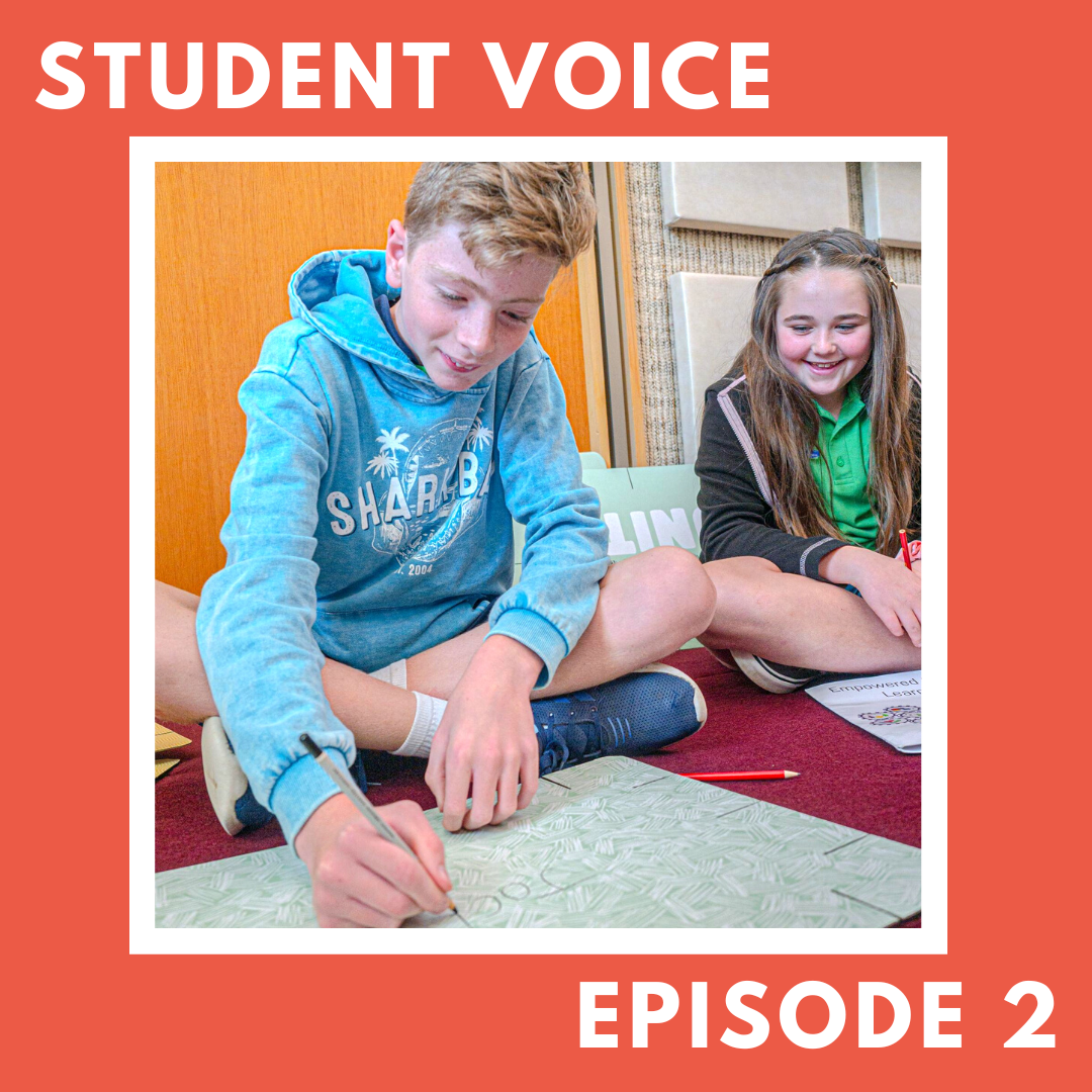 Student voice in school – learning and applying 