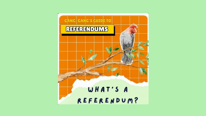 What&#039;s a referendum?