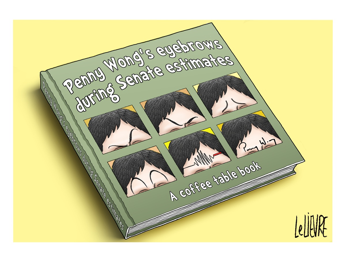 A coffee table book titled 'Penny Wong's eyebrows during Senate estimates'. Book cover has six images, each with Penny Wong's eyebrows in a different expression. 