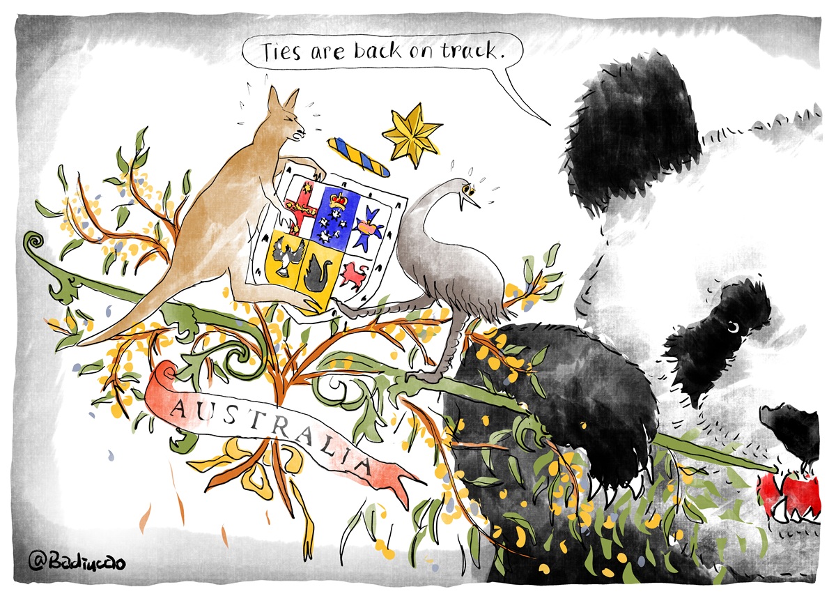 A giant panda chews on a bamboo stalk which serves a part of the Australian coat of arms. The coat's kangaroo and emu look angry and scared. Text reads, 'Ties are back on track.' 