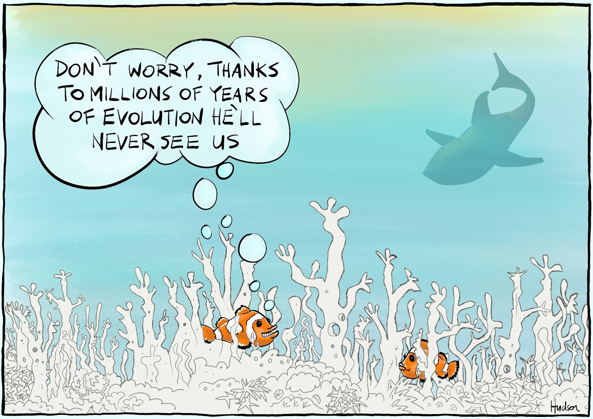 Clownfish swim amongst white bleached coral under the shadow of a shark. One fish says, 'Don't worry, thanks to millions of years of evolution he'll never see us.' 