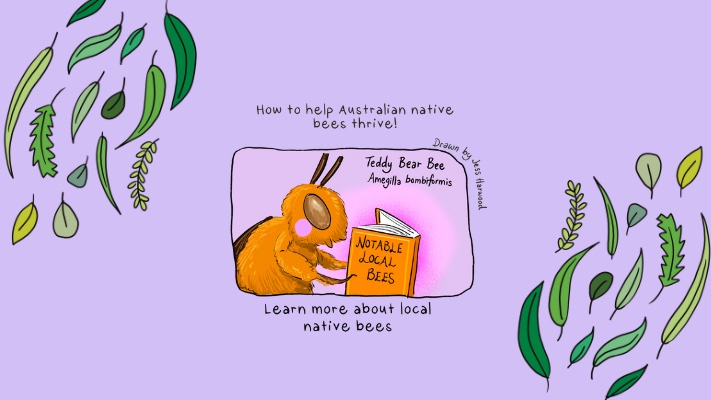An illustration of a bee reading a book titled 'Notable local bees'.