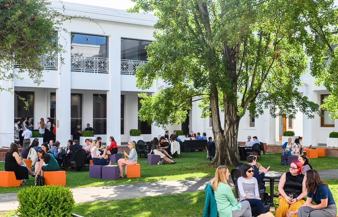 A grassy outdoor courtyard with trees surrounded by the white walls of a building. Casual tables and chairs are set up with groups of people eating and drinking.