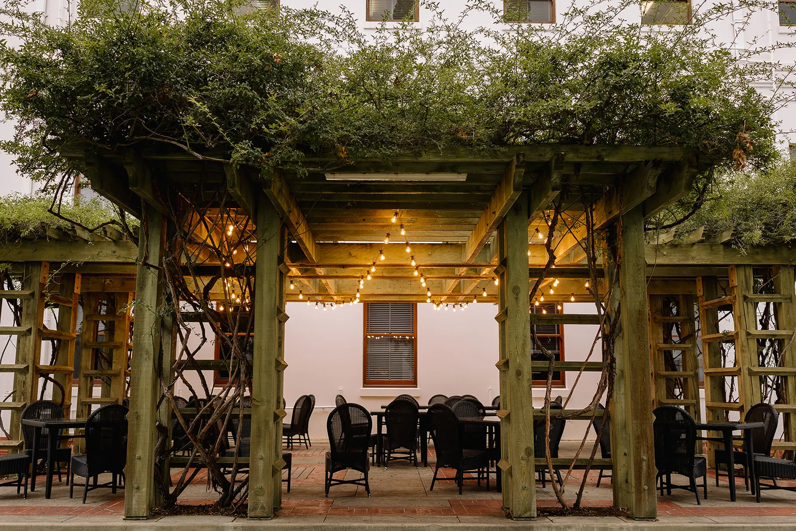 The pergola in the House of Representatives Courtyard, dimly lit by some overhead fairy lights.