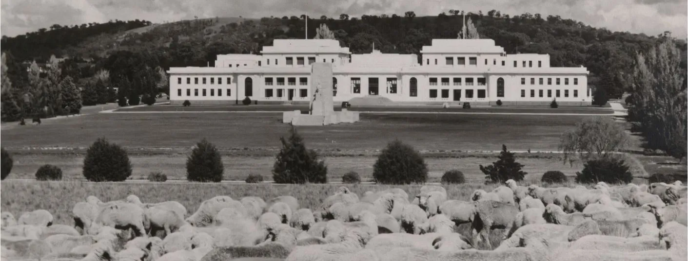 Old Parliament House, with a stone monument out the front and in the foreground a flock of sheep.