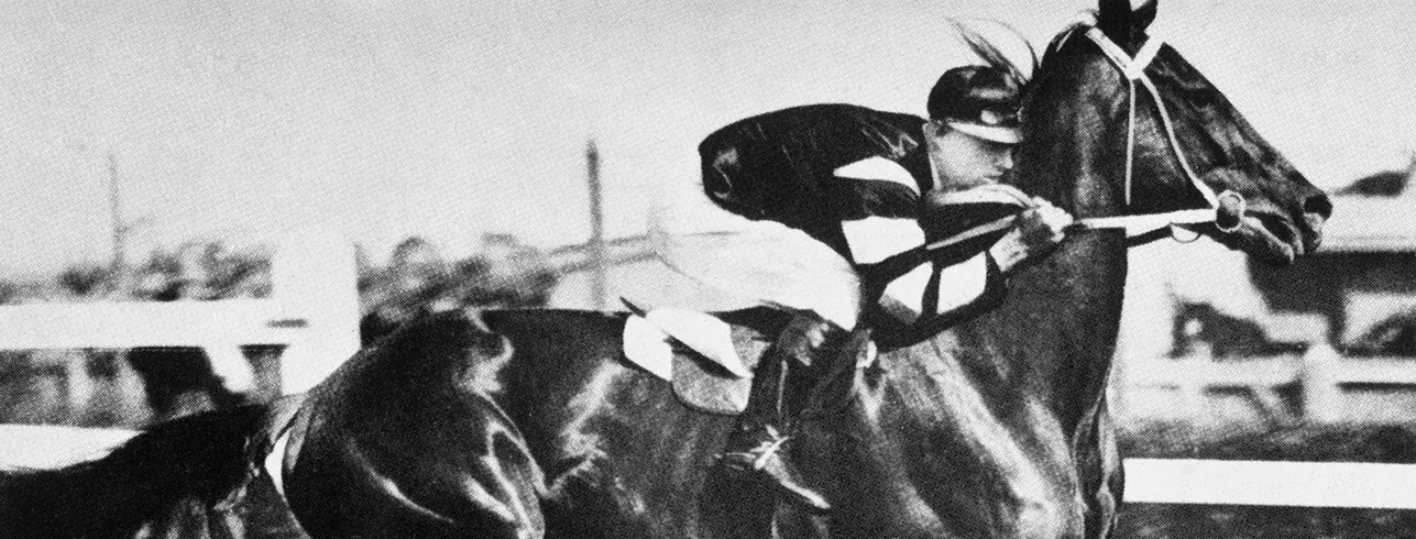 A jockey is riding on Phar Lap, who is mid-stride.