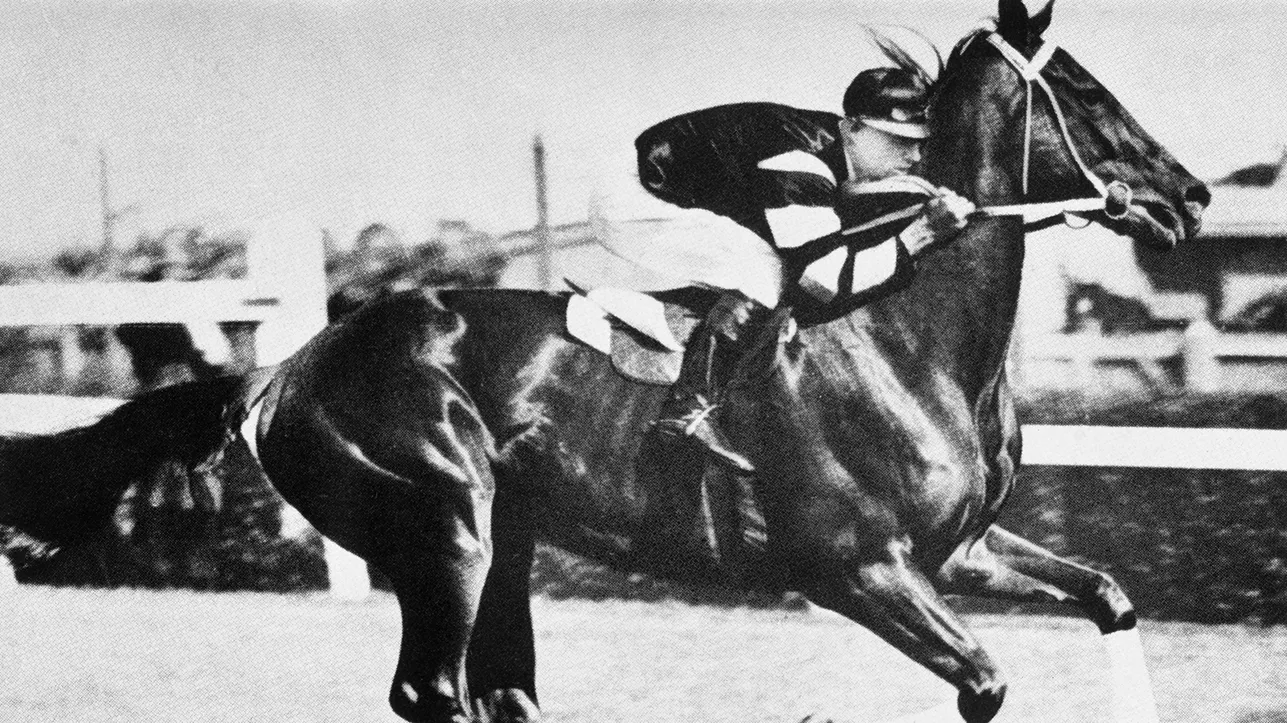 Archie Cameron’s war on Phar Lap