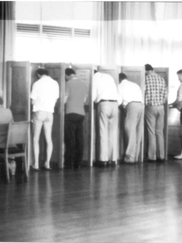 People vote in partitioned polling booths in a hall.