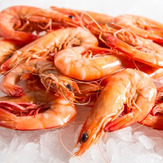 Fresh prawns sat on ice