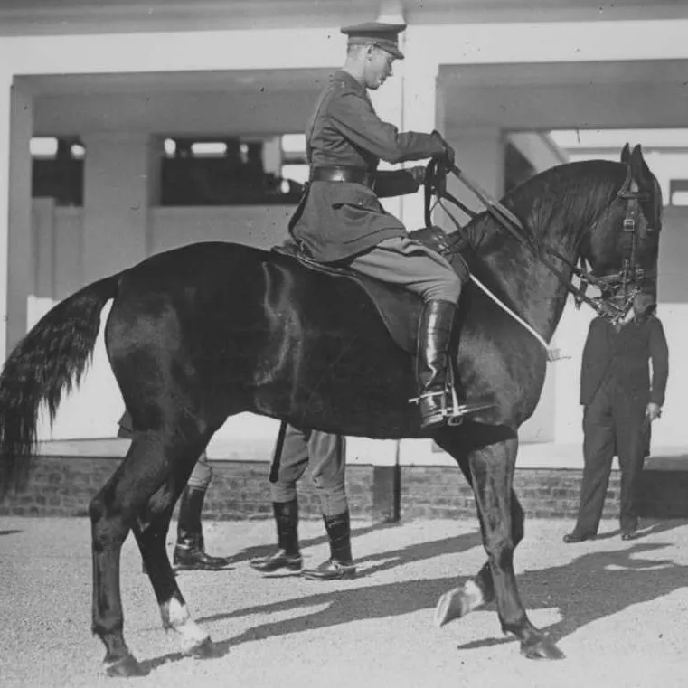 Prince Albert, Duke of York, riding a dark horse with two white 'socks'.