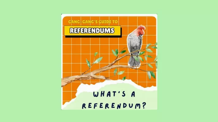 Gang Gang's guide to referendums podcast what's a referendum page.