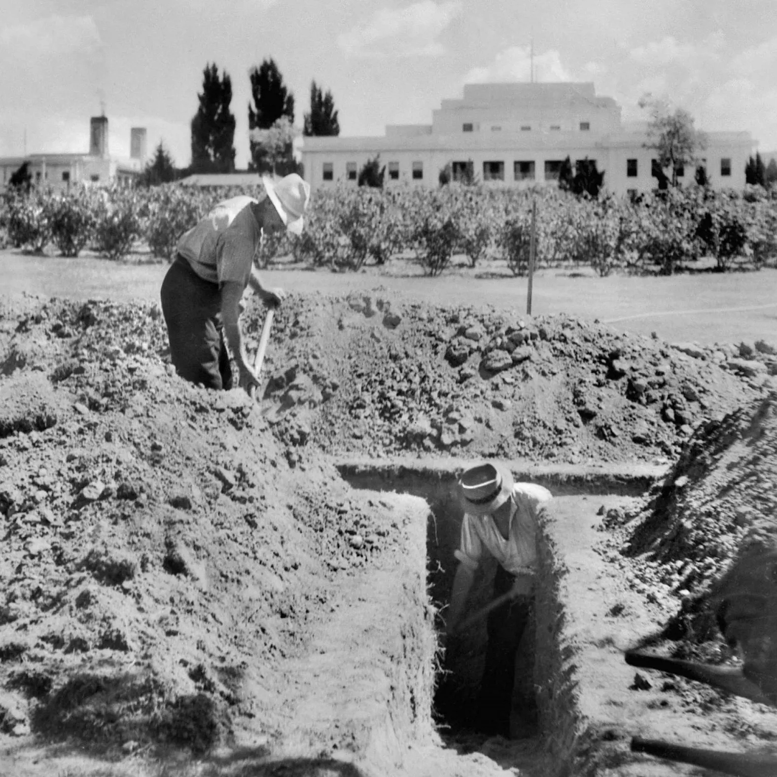 Workmen digging trenches with Parliament House in the background.