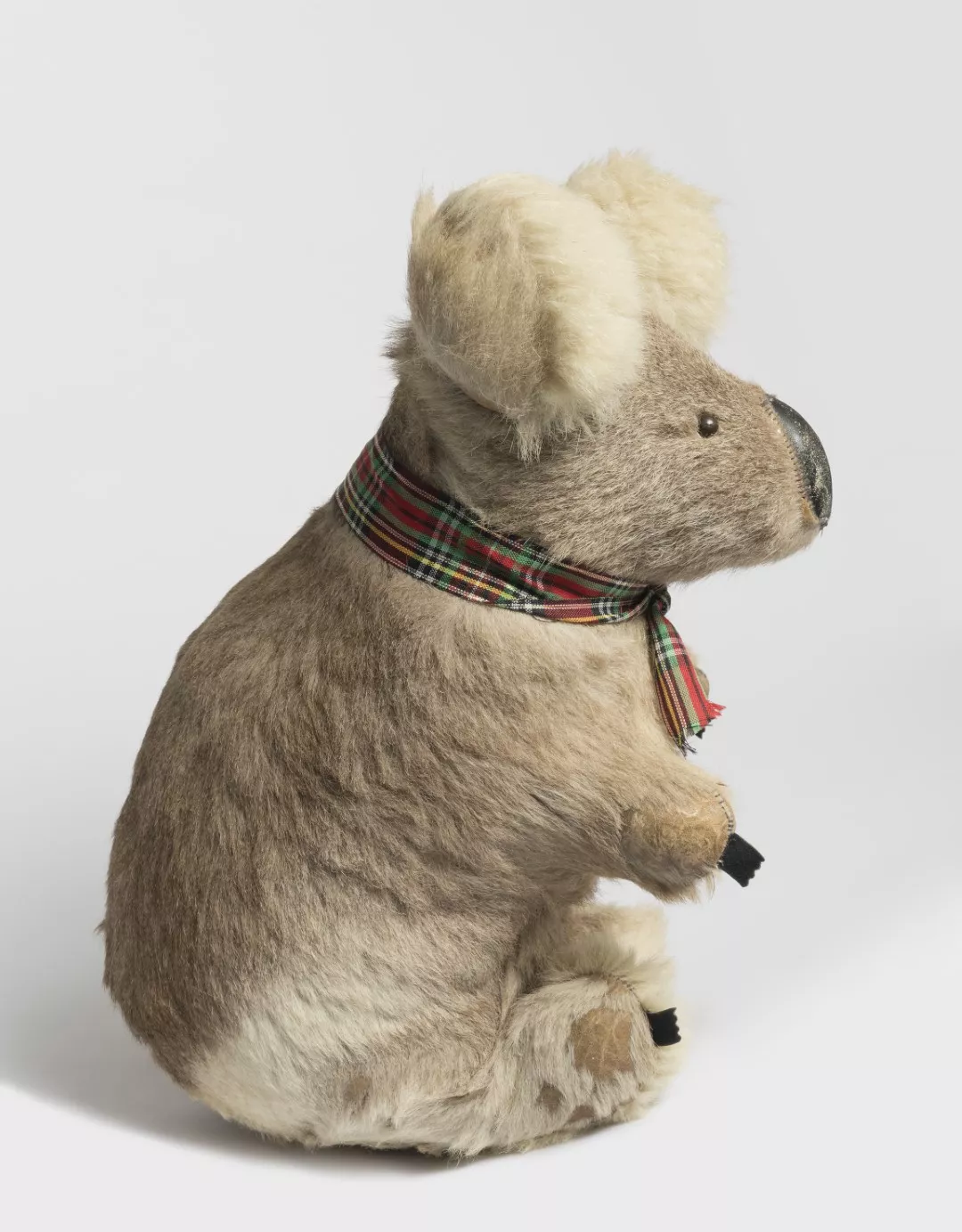 A side view of an old, used toy koala with a scuffed leather nose and a red and green tartan ribbon around its neck.