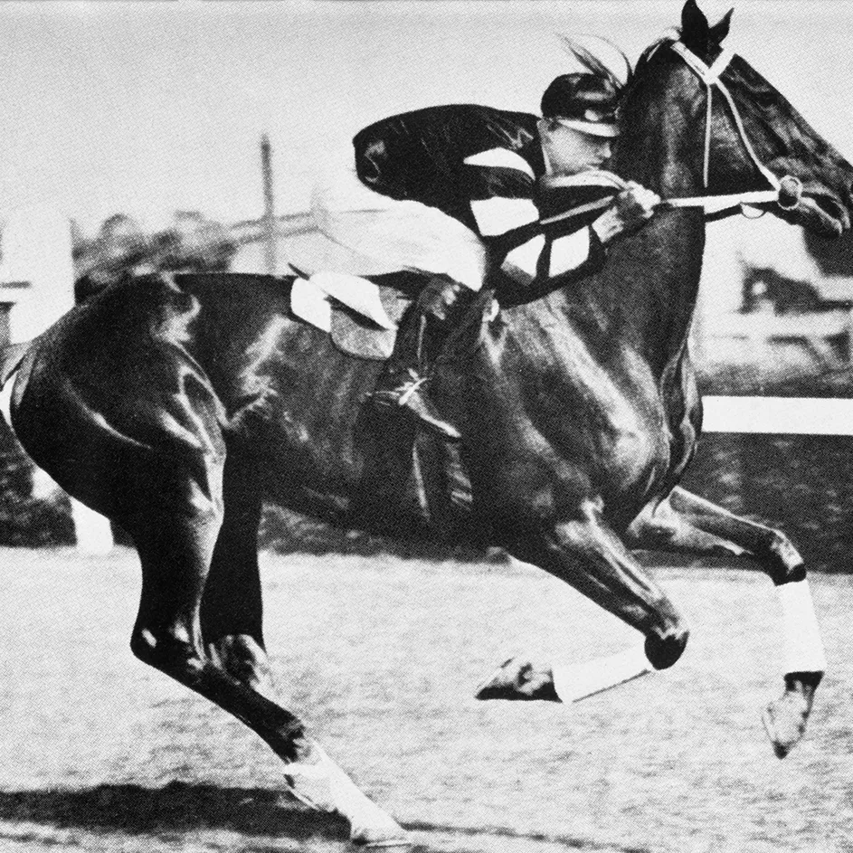 A jockey is riding on Phar Lap, who is mid-stride.