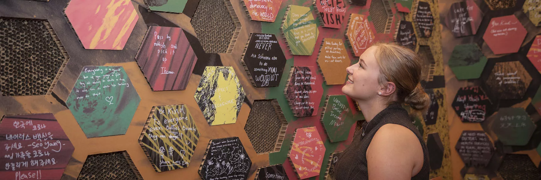 HiveMind: Honeybees, Democracy & Me HiveMind: Honeybees, Democracy & Me