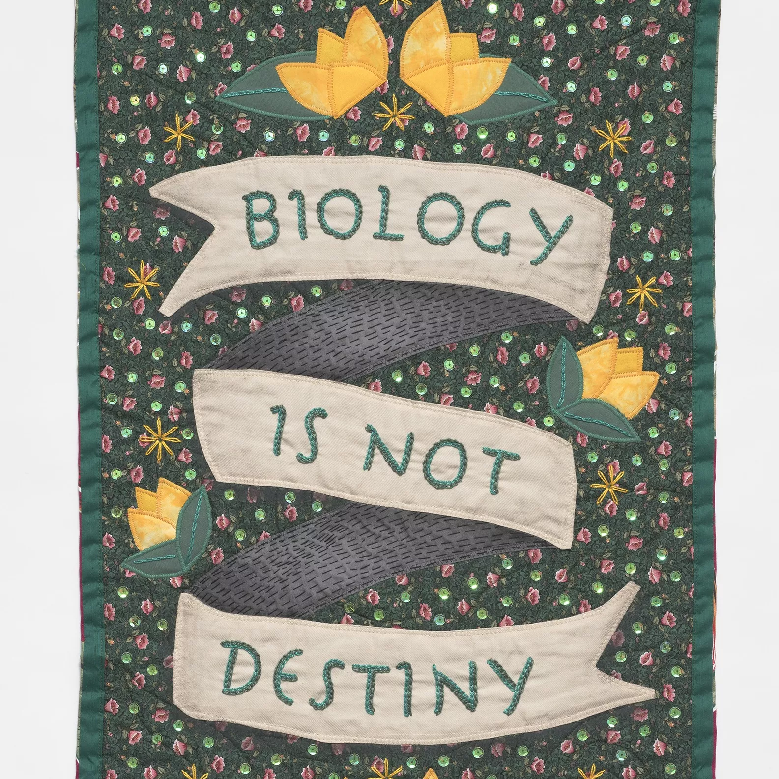 Biology is Not Destiny by Tal Fitzpatrick. A green embroidered banner with the words 'biology is not destiny'.